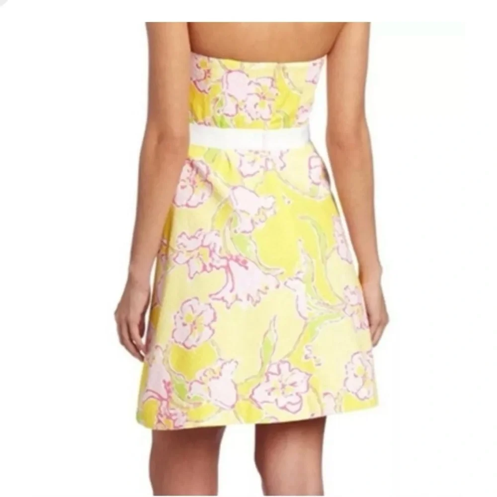 Lilly Pulitzer Amberley Dress - Picture 2 of 13